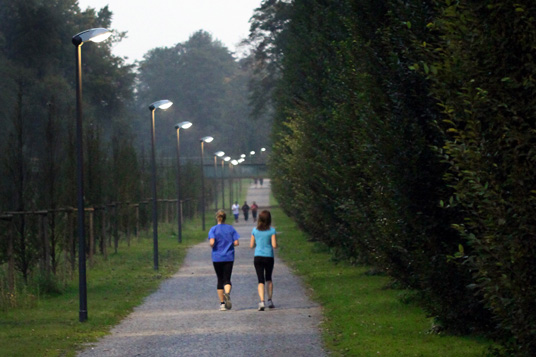 Das Bild zeigt die Marathonbahn im Wittringer Wald Das Bild zeigt die Marathonbahn im Wittringer Wald